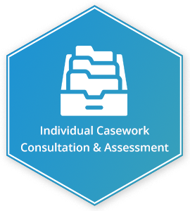 Individual Casework
